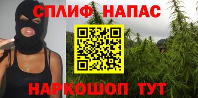 шишки Волжский