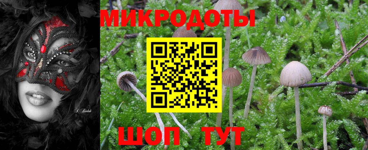 Менделеевск  Псилоцибиновые грибы GOLDEN TEACHER  Вход с VPN 