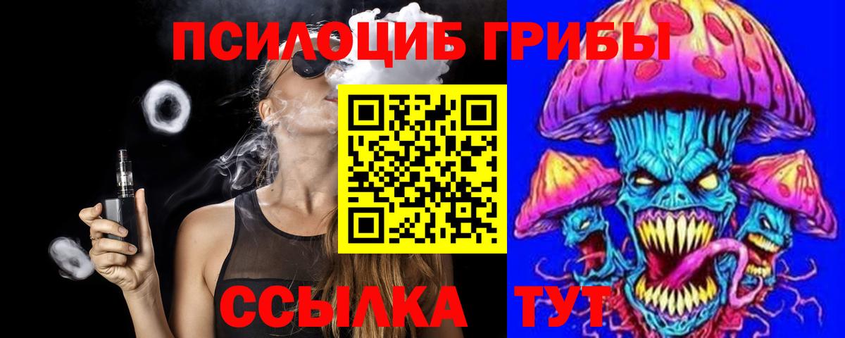 Псилоцибиновые грибы Cubensis Менделеевск